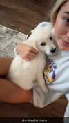 livvy_gymnast Altpins Profile Picture