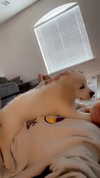 livvy_gymnast Altpins Profile Picture