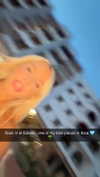 maddietaggx Altpins Profile Picture