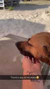 maddybelletv Altpins Profile Picture