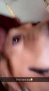 maddybelletv Altpins Profile Picture
