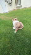 maddybelletv Altpins Profile Picture