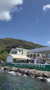 maddybelletv Altpins Profile Picture