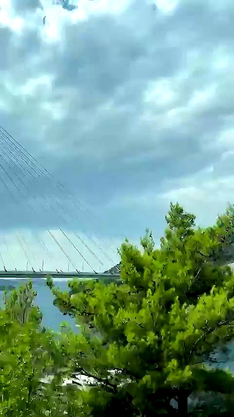 maddybelletv archive video preview