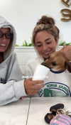 maddyy_dodd Altpins Profile Picture