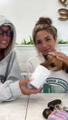 maddyy_dodd Altpins Profile Picture