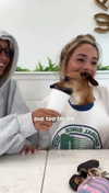 maddyy_dodd Altpins Profile Picture