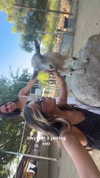 maddyy_dodd Altpins Profile Picture