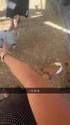 maddyy_dodd Altpins Profile Picture