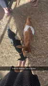 maddyy_dodd Altpins Profile Picture