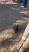 maddyy_dodd Altpins Profile Picture