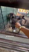 maddyy_dodd Altpins Profile Picture