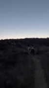 maddyy_dodd Altpins Profile Picture