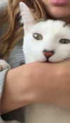 maidibear Altpins Profile Picture