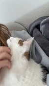 maidibear Altpins Profile Picture