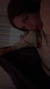 maidibear Altpins Profile Picture
