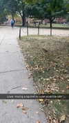 mia_sweitz Altpins Profile Picture