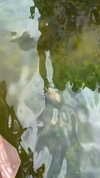 neuaurafitness Altpins Profile Picture
