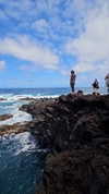 perfexiia Altpins Profile Picture