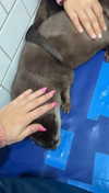 rileyblack2 Altpins Profile Picture