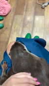 rileyblack2 Altpins Profile Picture