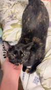 rileyblack2 Altpins Profile Picture