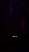 rinnibunnyy Altpins Profile Picture
