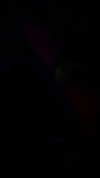 rinnibunnyy Altpins Profile Picture