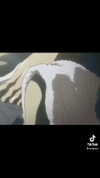 rinnibunnyy Altpins Profile Picture