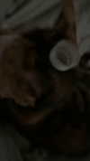 rinnibunnyy Altpins Profile Picture