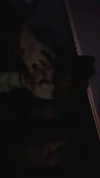 rinnibunnyy Altpins Profile Picture