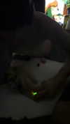 rinnibunnyy Altpins Profile Picture