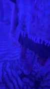 rinnibunnyy Altpins Profile Picture