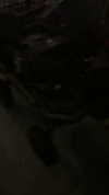 rinnibunnyy Altpins Profile Picture