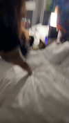 rinnibunnyy Altpins Profile Picture
