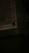 rinnibunnyy Altpins Profile Picture
