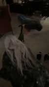 rinnibunnyy Altpins Profile Picture