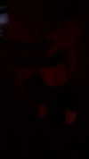 rinnibunnyy Altpins Profile Picture