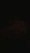 rinnibunnyy Altpins Profile Picture