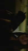 rinnibunnyy Altpins Profile Picture