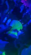 rinnibunnyy Altpins Profile Picture