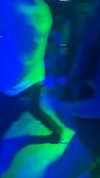 rinnibunnyy Altpins Profile Picture
