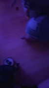rinnibunnyy Altpins Profile Picture