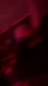 rinnibunnyy Altpins Profile Picture