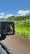 savmcannon Altpins Profile Picture