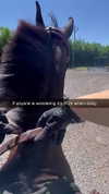 sierraccabot Altpins Profile Picture