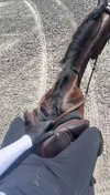sierraccabot Altpins Profile Picture