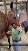 sierraccabot Altpins Profile Picture
