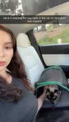 sophieeemudd Altpins Profile Picture