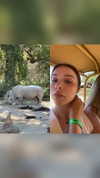 sophieeemudd Altpins Profile Picture